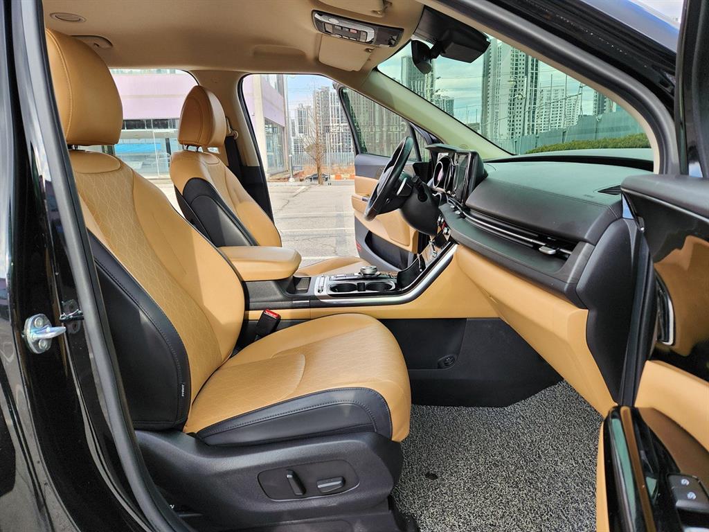 KIA Carnival - Vista 9