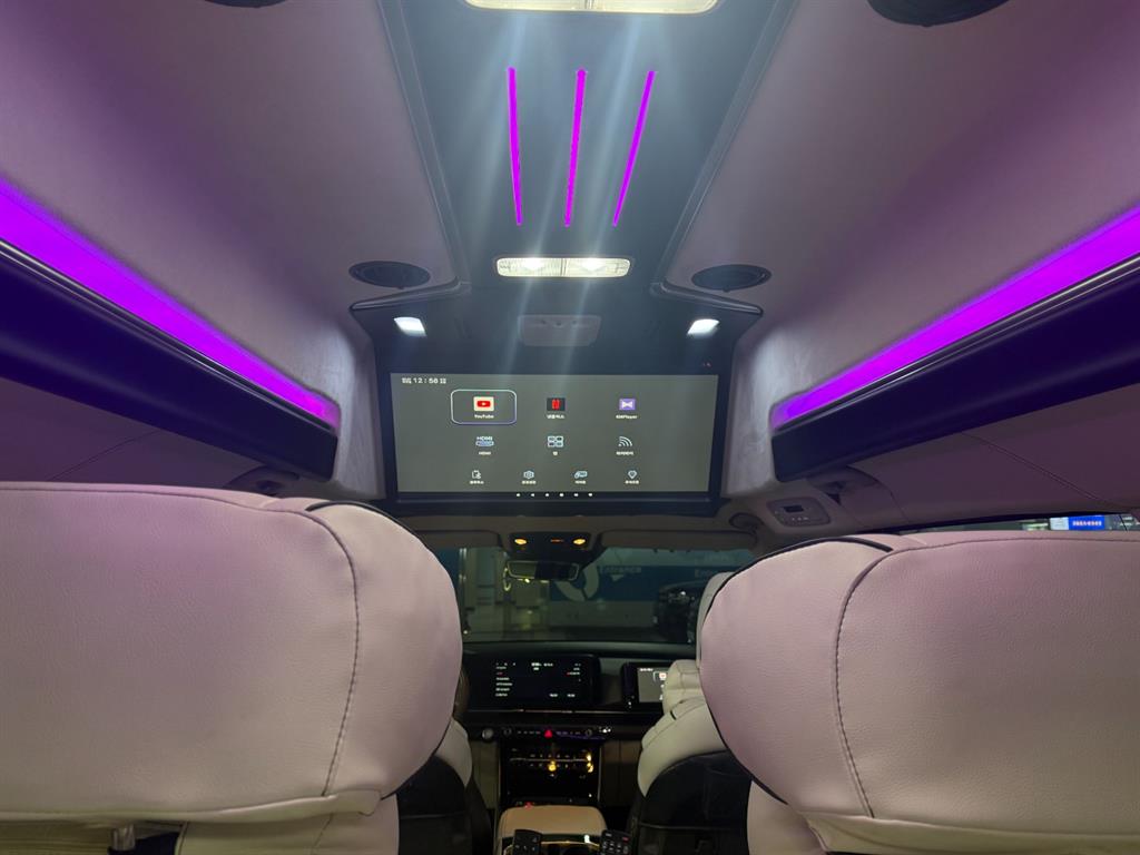 KIA Carnival - Vista 12