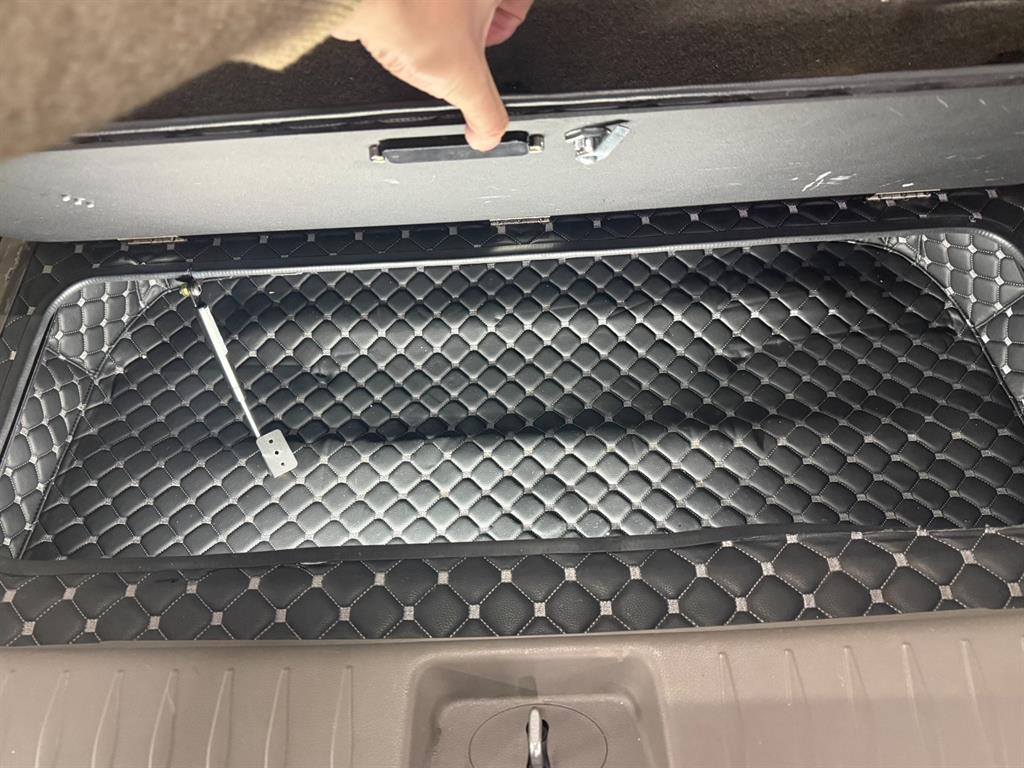 KIA Carnival - Vista 9