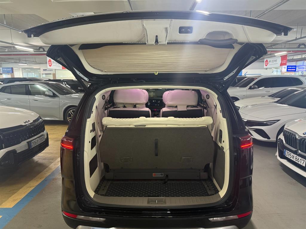 KIA Carnival - Vista 7