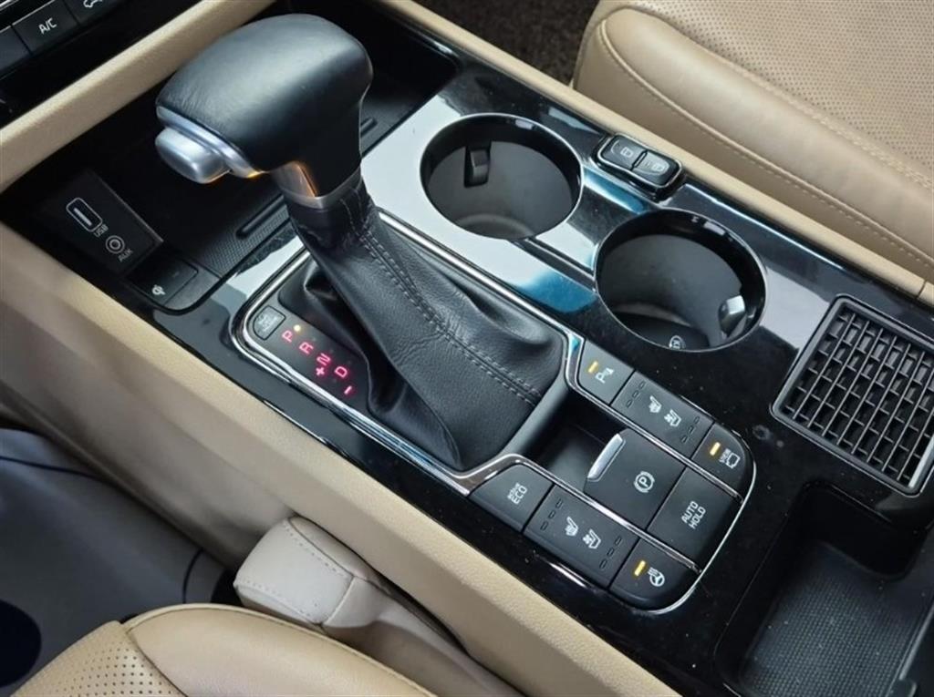 KIA Carnival - Vista 8