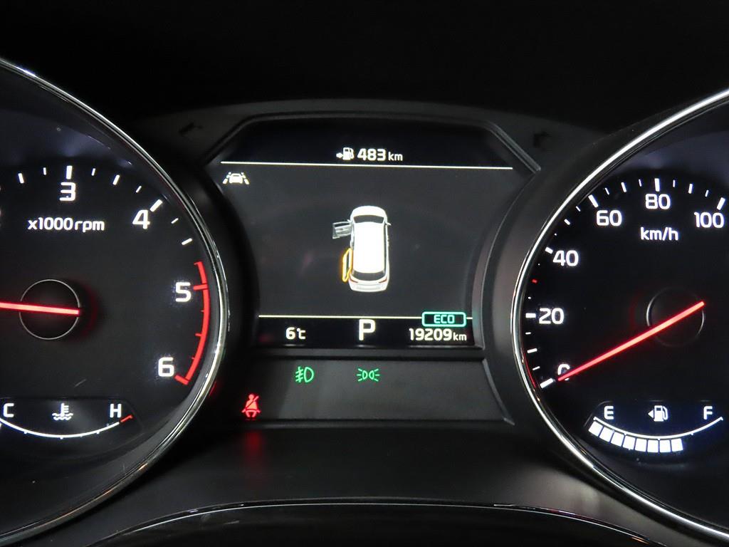 KIA Carnival - Vista 9