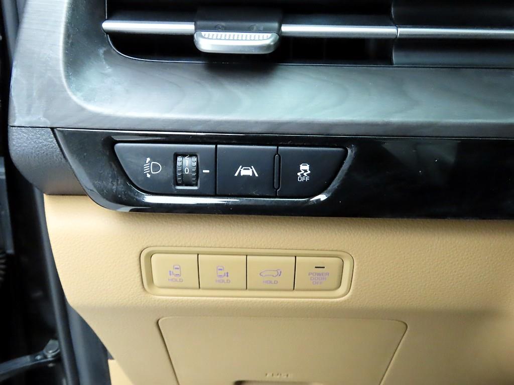 KIA Carnival - Vista 12