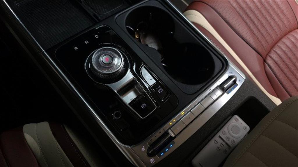 KIA Carnival - Vista 9