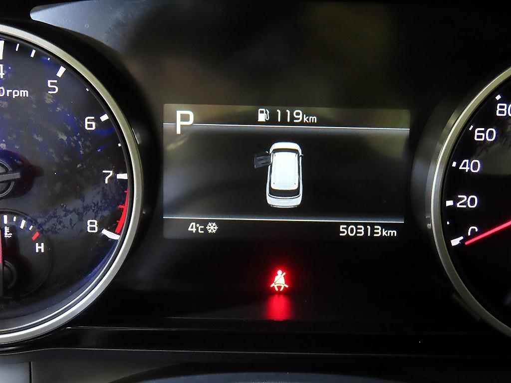 KIA Carnival - Vista 9