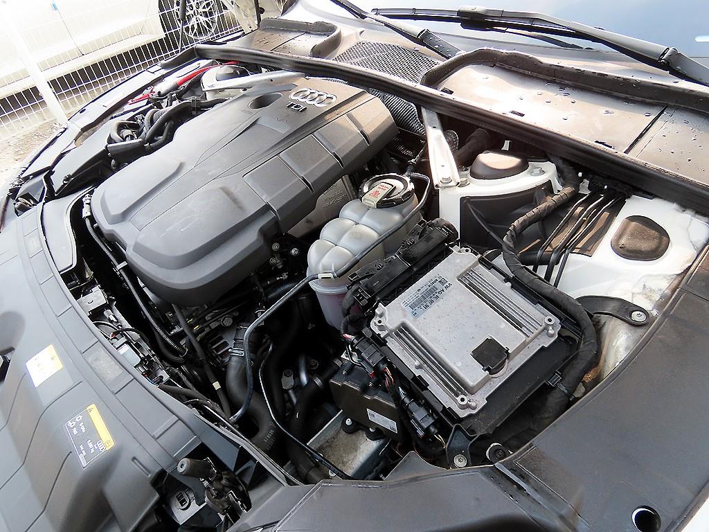 Audi A5 2021 Blanco - Importación desde Corea - HF Imports Iquique - Foto 19