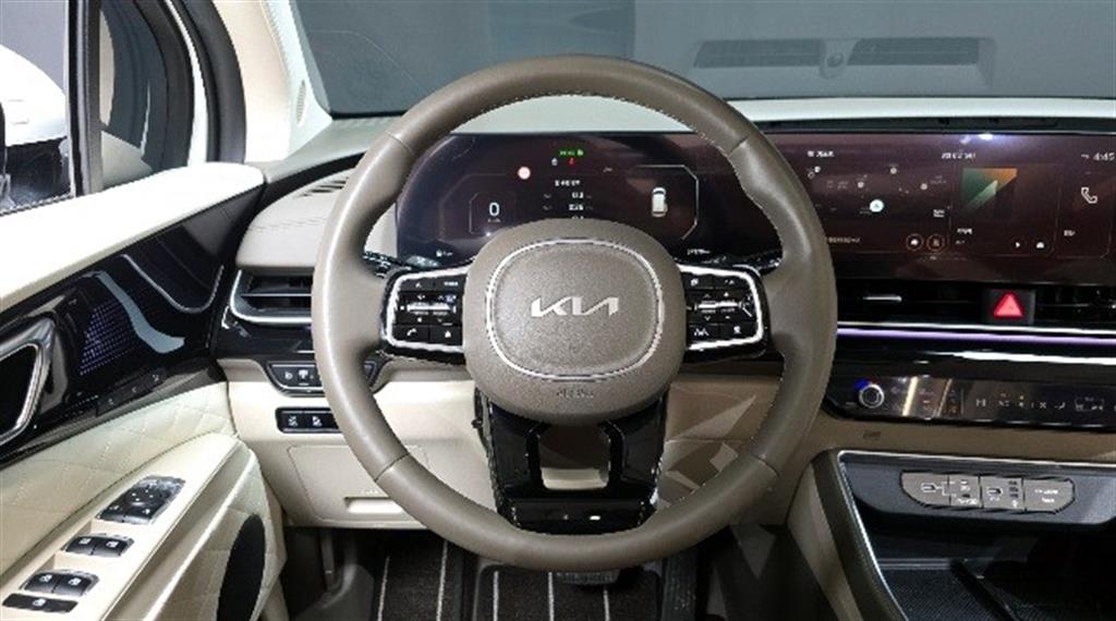 KIA Carnival - Vista 12