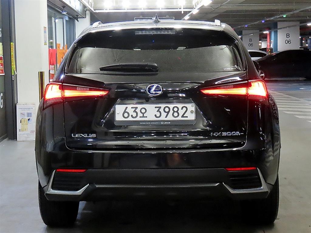 Lexus NX - Vista 5