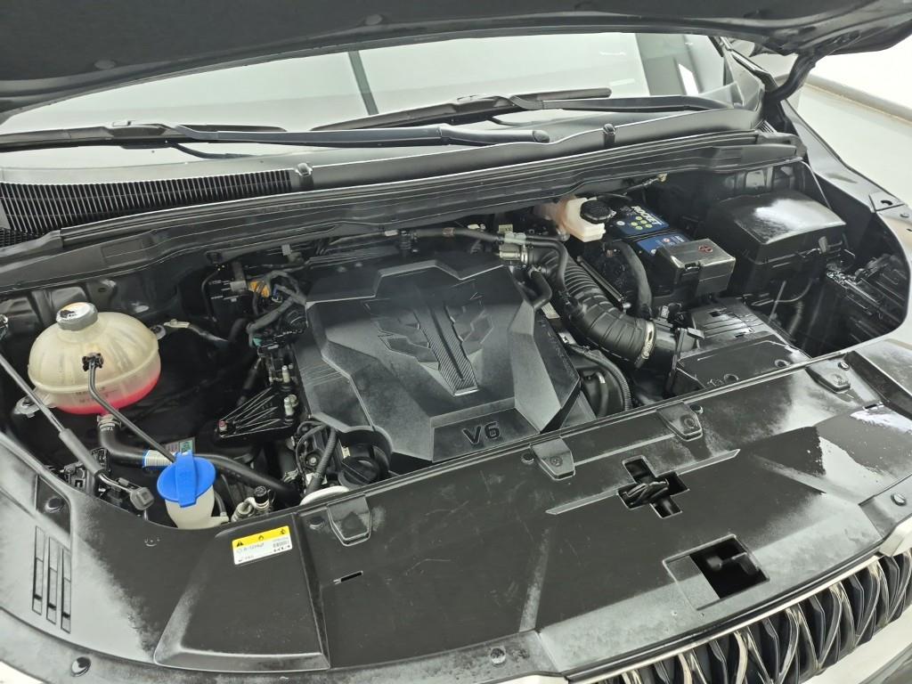 KIA Carnival - Vista 6