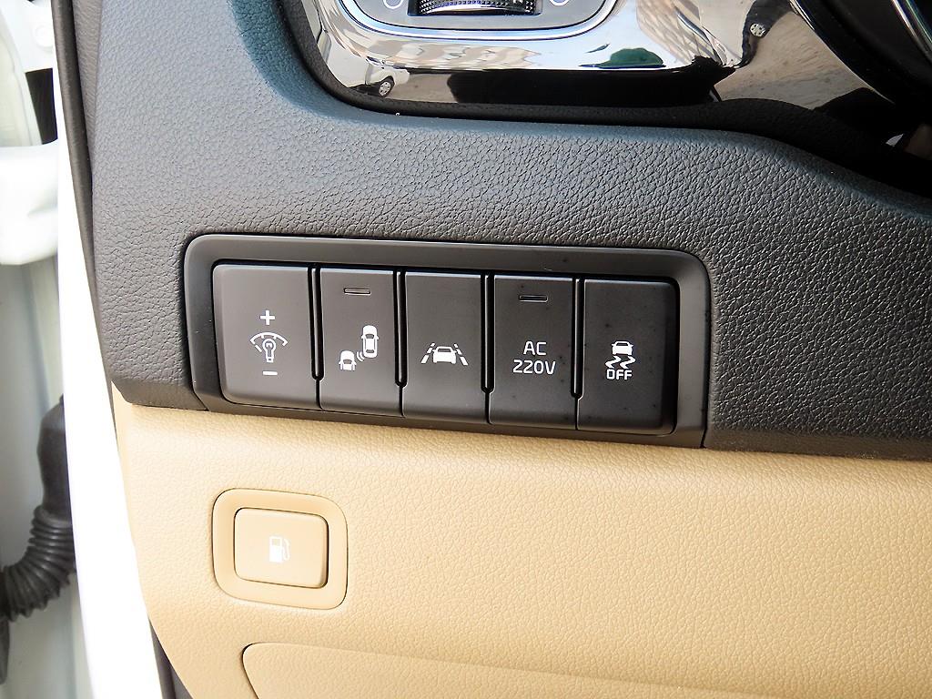 KIA Carnival - Vista 12