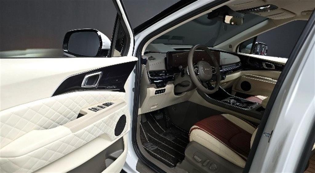 KIA Carnival - Vista 11