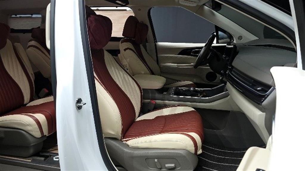 KIA Carnival - Vista 10