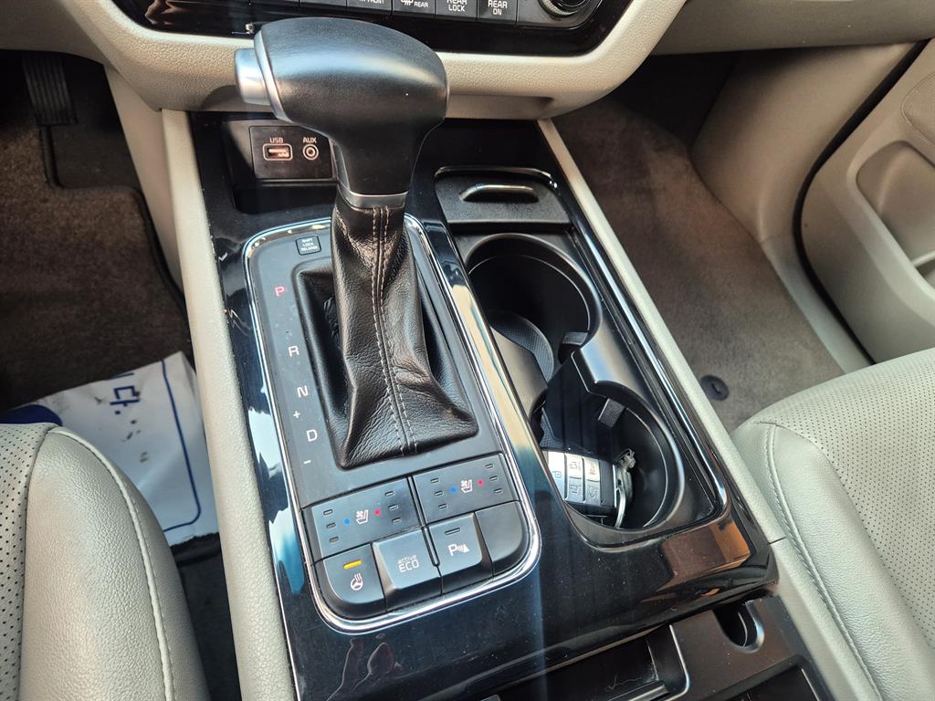 KIA Carnival - Vista 8