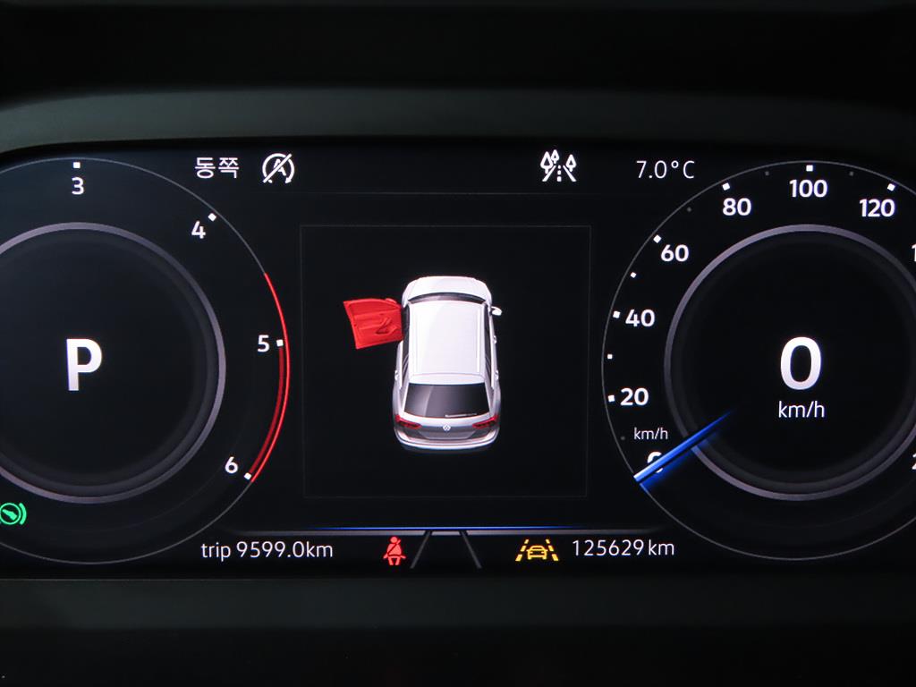 Volkswagen Tiguan - Vista 9