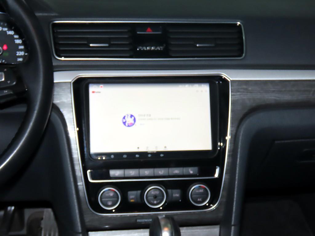 Volkswagen Passat - Vista 11