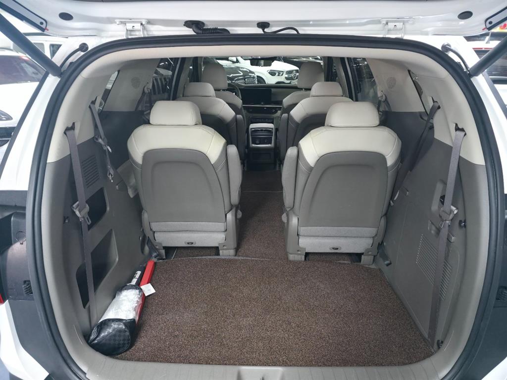 KIA Carnival - Vista 6