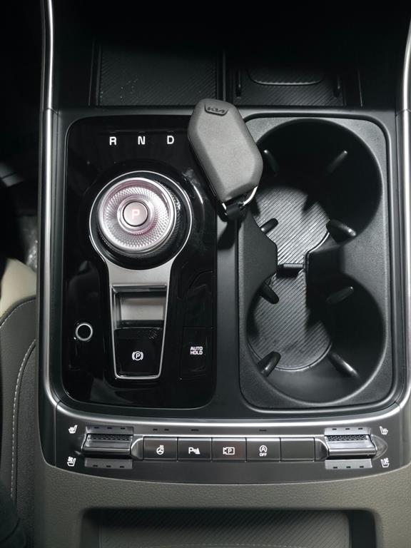 KIA Carnival - Vista 12