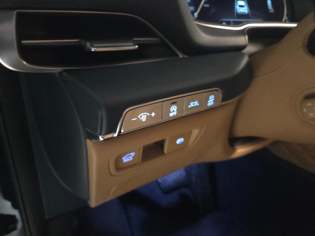 Genesis GV80 - Vista 10