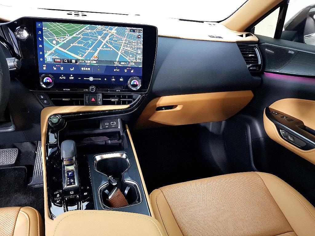 Lexus NX - Vista 10