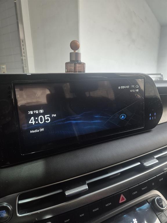 HYUNDAI Palisade - Vista 9