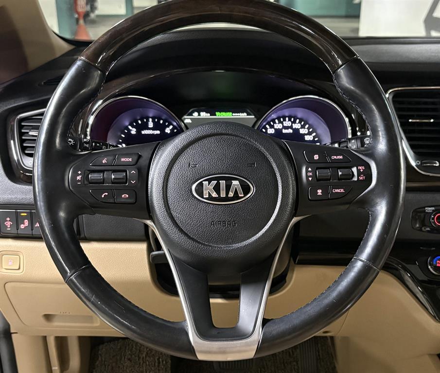 KIA Carnival - Vista 8