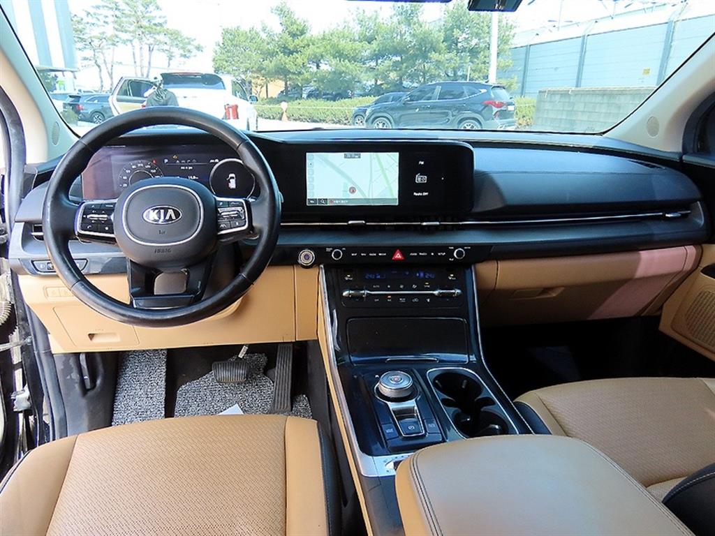 KIA Carnival - Vista 8