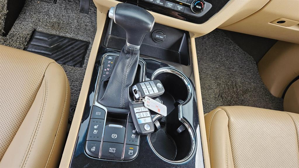 KIA Carnival - Vista 9