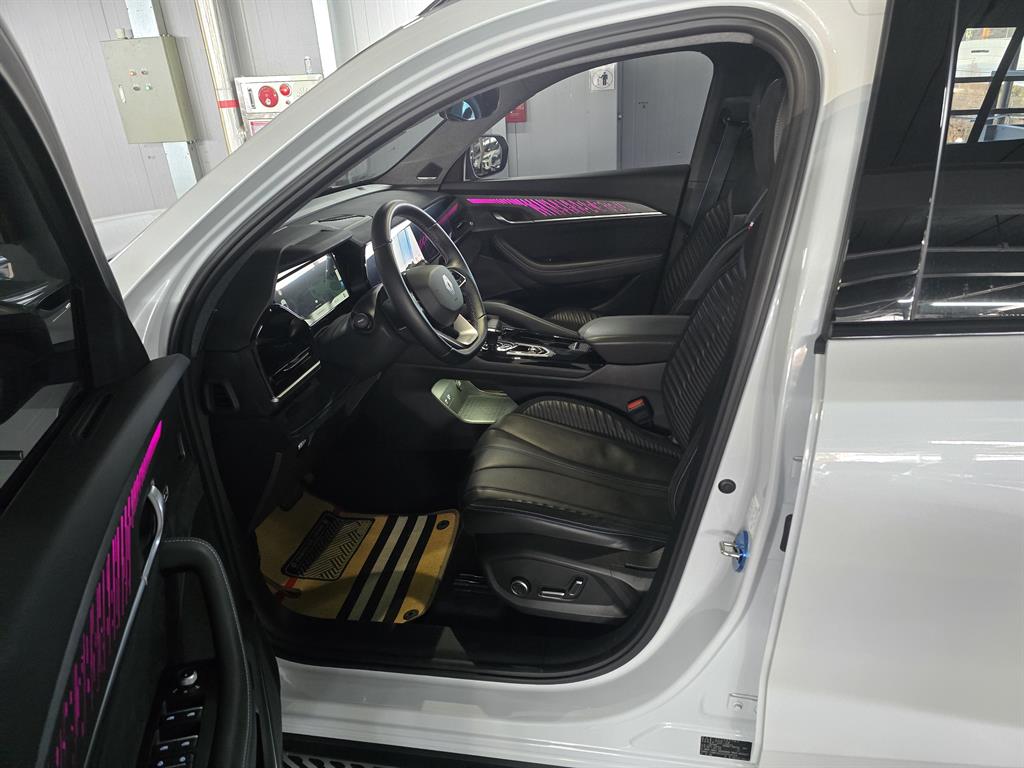 SAMSUNG Grand Koleos - Vista 9