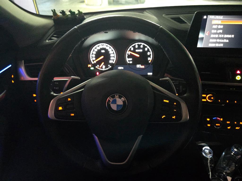 BMW X2 - Vista 12