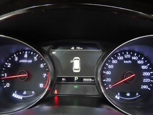 KIA Carnival - Vista 12
