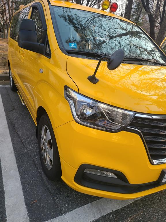 HYUNDAI Starex - Vista 3