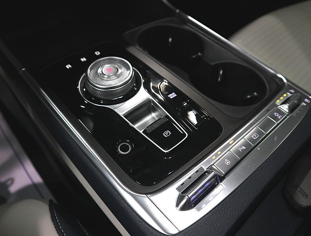 KIA Carnival - Vista 12