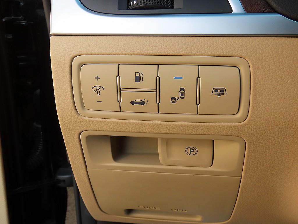 HYUNDAI Genesis - Vista 12