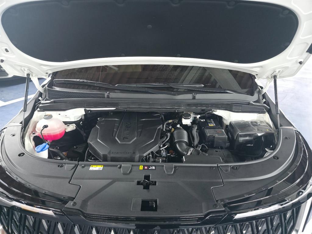 KIA Carnival - Vista 5