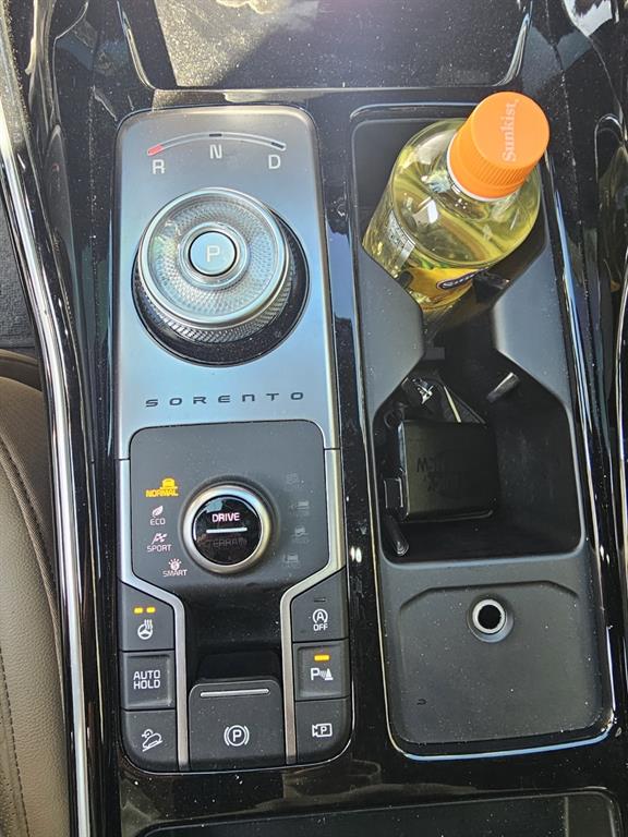 KIA Sorento - Vista 11