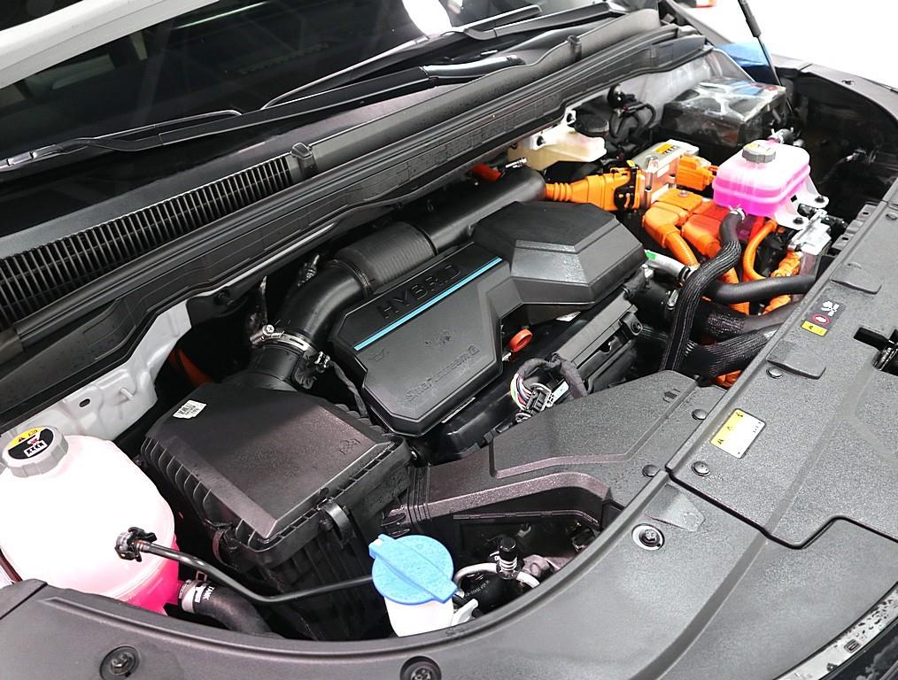 KIA Carnival - Vista 6