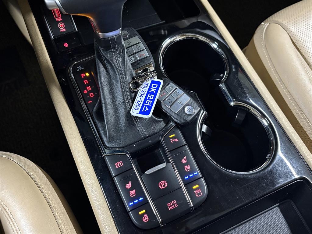 KIA Carnival - Vista 12