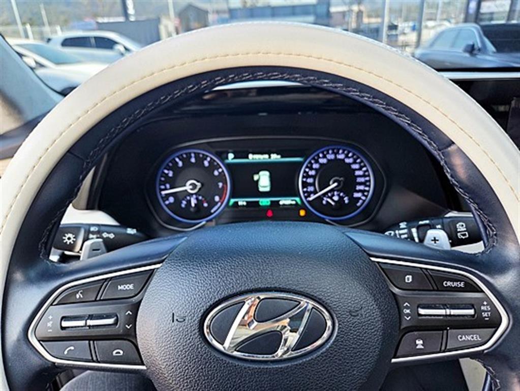 HYUNDAI Palisade - Vista 9