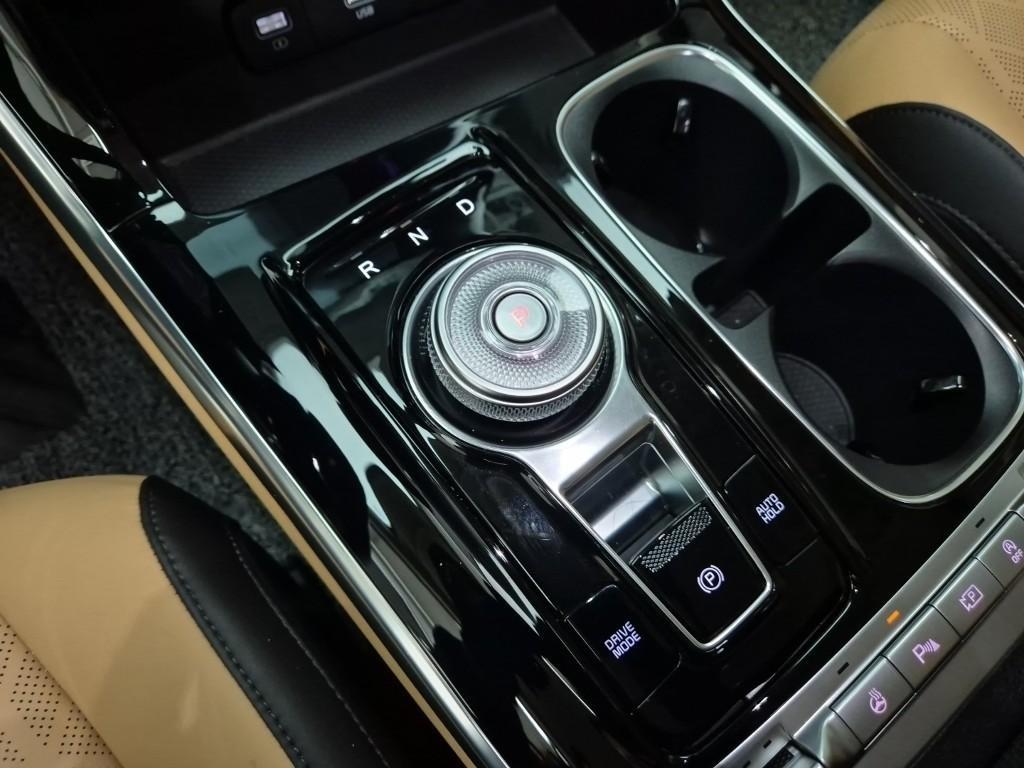 KIA Carnival - Vista 8