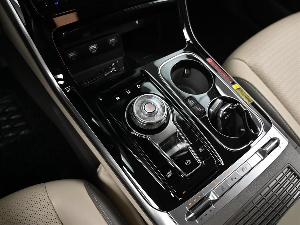 KIA Carnival - Vista 11