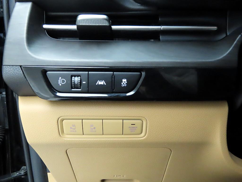 KIA Carnival - Vista 12