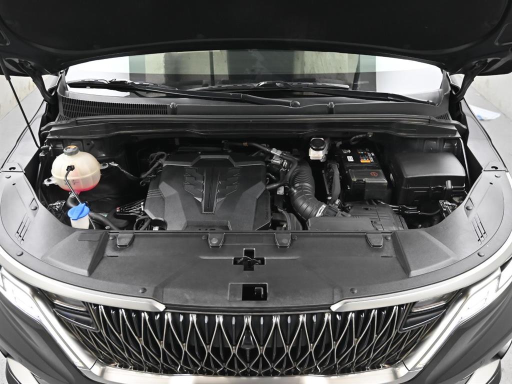 KIA Carnival - Vista 5