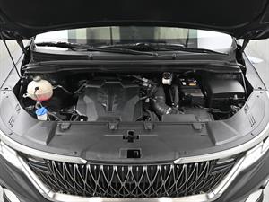 KIA Carnival - Vista 6