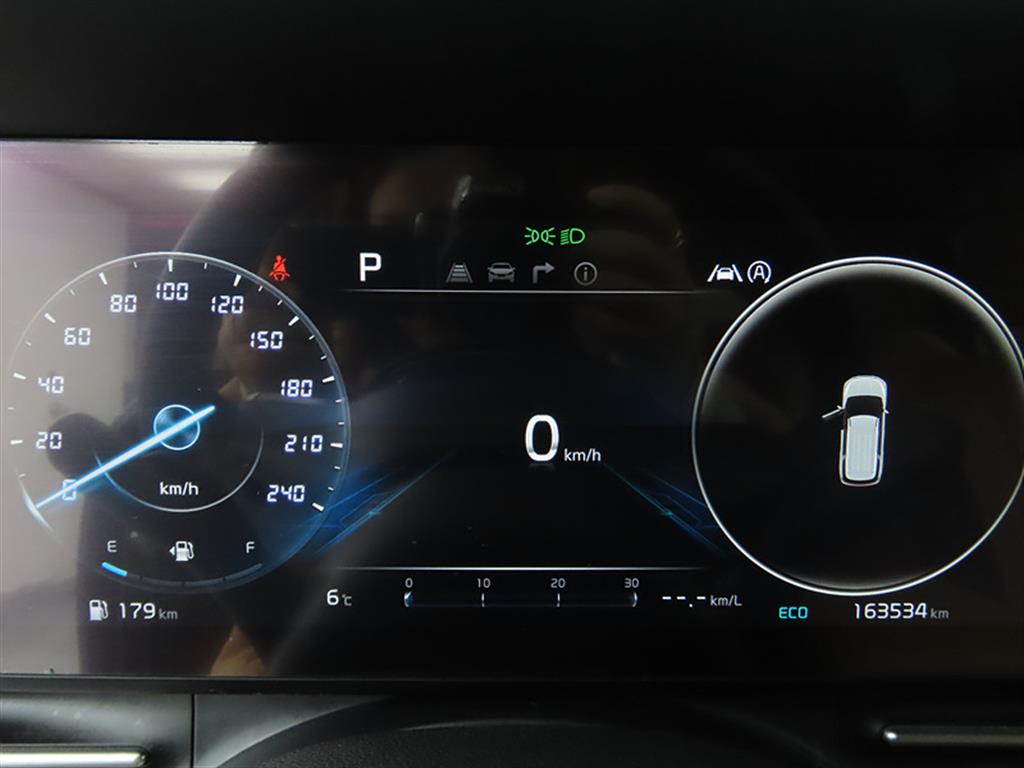 KIA Carnival - Vista 9