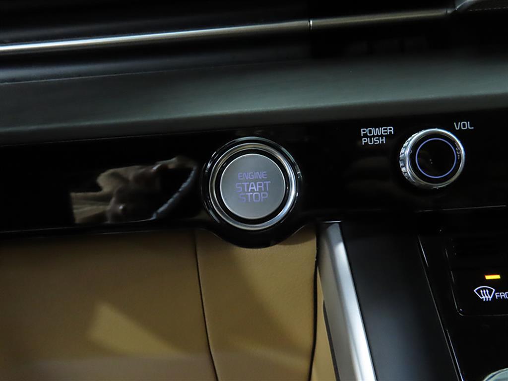 KIA Carnival - Vista 12