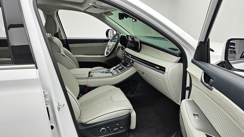 HYUNDAI Palisade - Vista 10