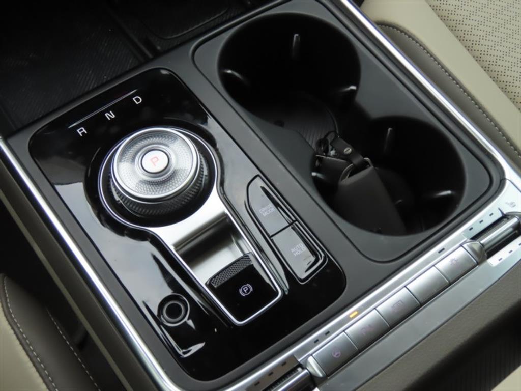 KIA Carnival - Vista 11