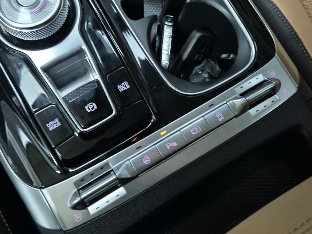 KIA Carnival - Vista 12