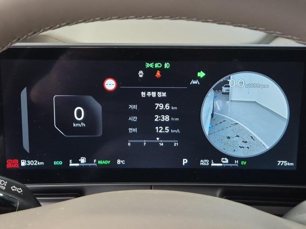 KIA Carnival - Vista 9