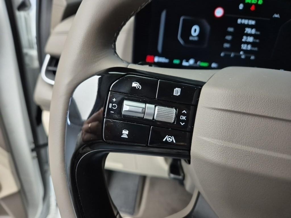 KIA Carnival - Vista 8